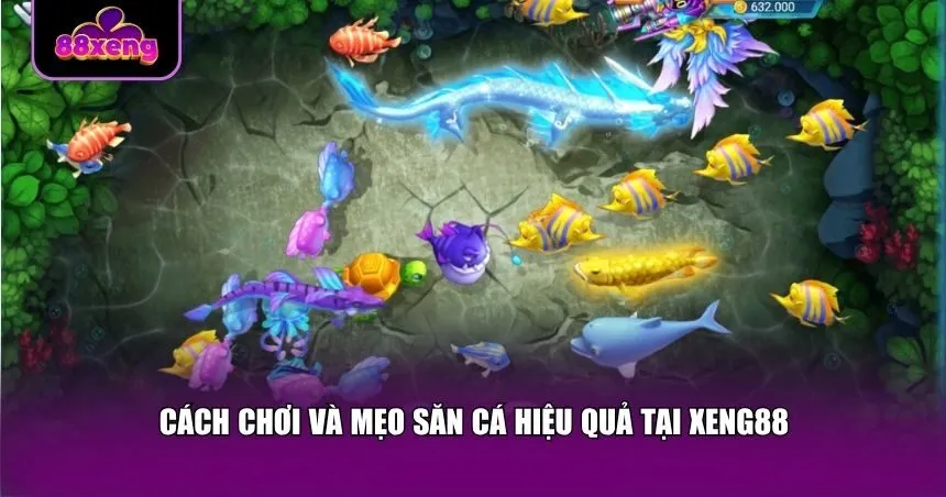 Cách chơi và mẹo săn cá hiệu quả tại Xeng88