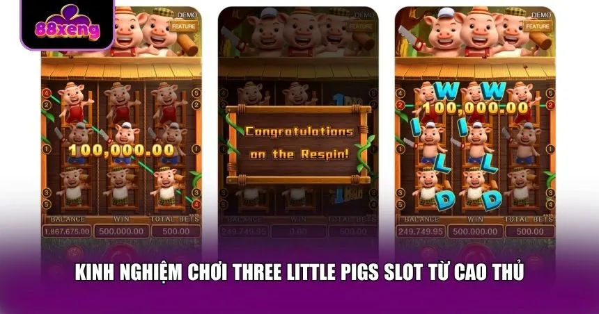 Kinh nghiệm chơi Three Little Pigs Slot từ cao thủ